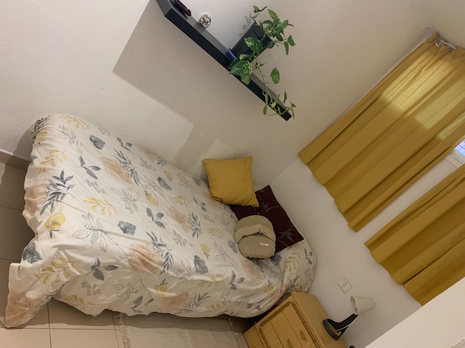 Foto del inmueble