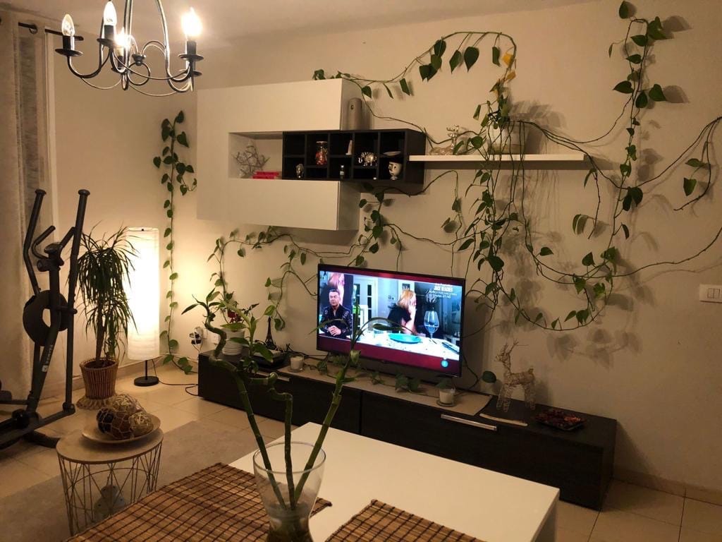 Foto 3 del inmueble