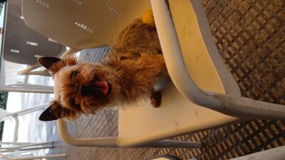 Foto de perfil