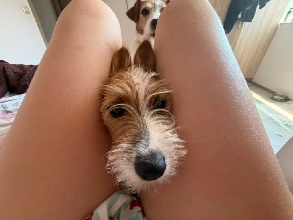 Foto de perfil — foto 2