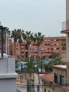 Miniatura 9