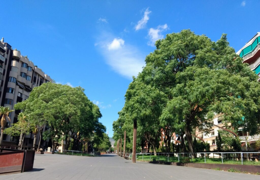 OPORTUNIDAD DE 2 EXCELENTES PLAZAS DE PARKING CONTIGUAS, DE CONCESIÓN ADMINISTRATIVA — foto 10
